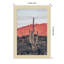 Sunsets And Saguaros by Nathan Larson-79406482-79406495