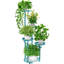 Support pour plante d'angle robuste à 5 niveaux, conception de table ronde, convient au salon, au balcon et au jardin à l'intérieur-1970770599