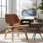 Charles Eames Lounge Chair