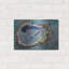 «Oyster Two» par Jeanette Vertentes-986684796