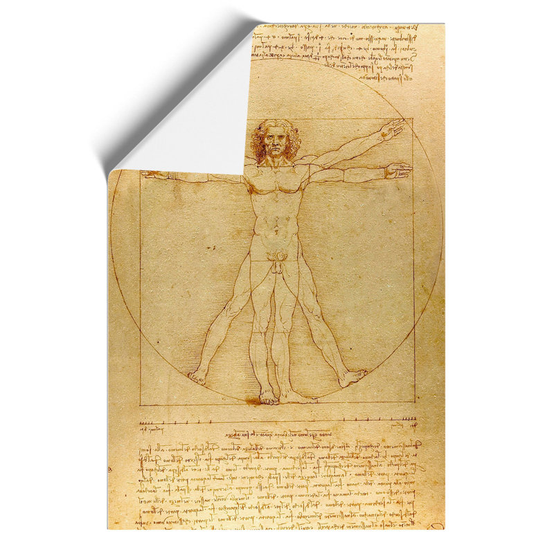 Vitruvian Man Vol.1 by Leonardo Da Vinci - No Frame Print, 42cm H x 30cm W x 0.1cm D