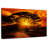 Harnek Serengeti Park Sunset Silhouette-107679942