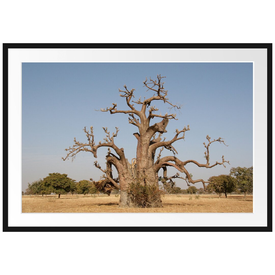 Gerahmtes Poster Vertrockneter Baum in der Savanne