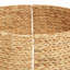 Water Hyacinth Tree Collar