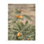 Art sur toile, bolologien, vie romaine-104142787