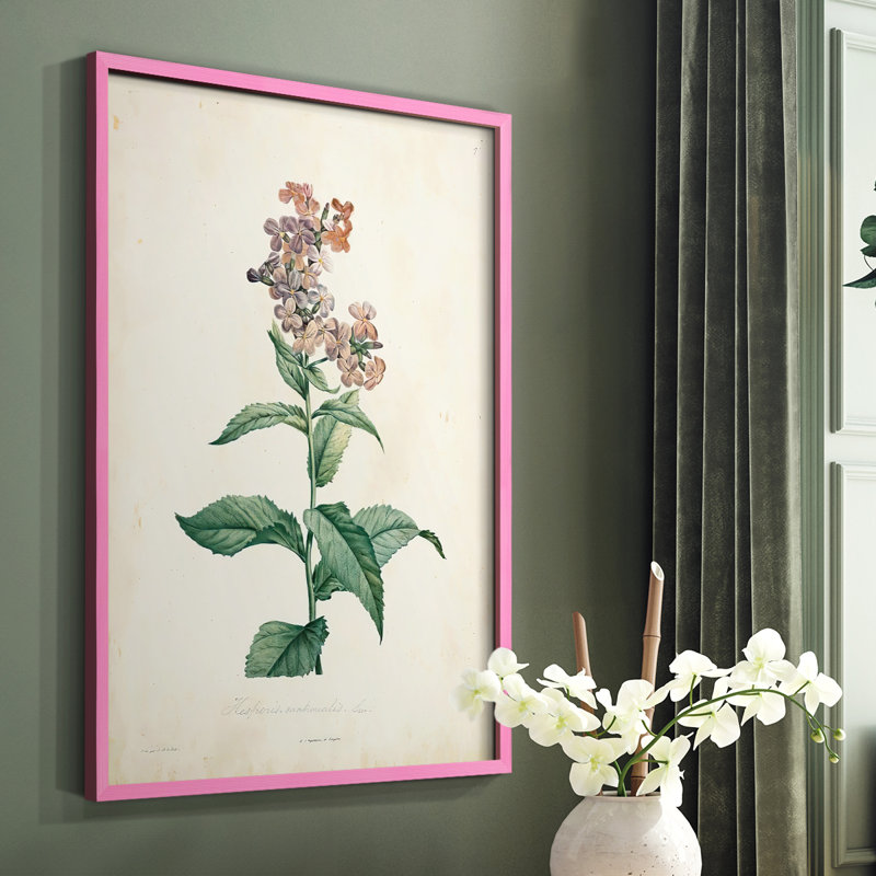 «Traditional Botanical II», reproduction encadrée - bois massif, Rose, H 10 po x l 8 po