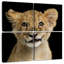 Petite tête de lion-350475533