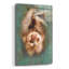 «Two-Toed Sloth» par Robert Campbell-1267809842