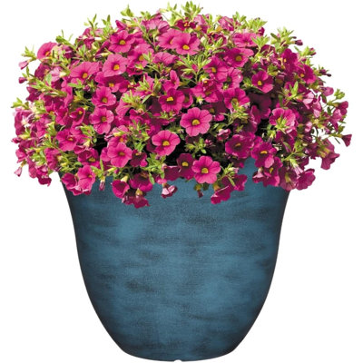Ayaah Pot Planter