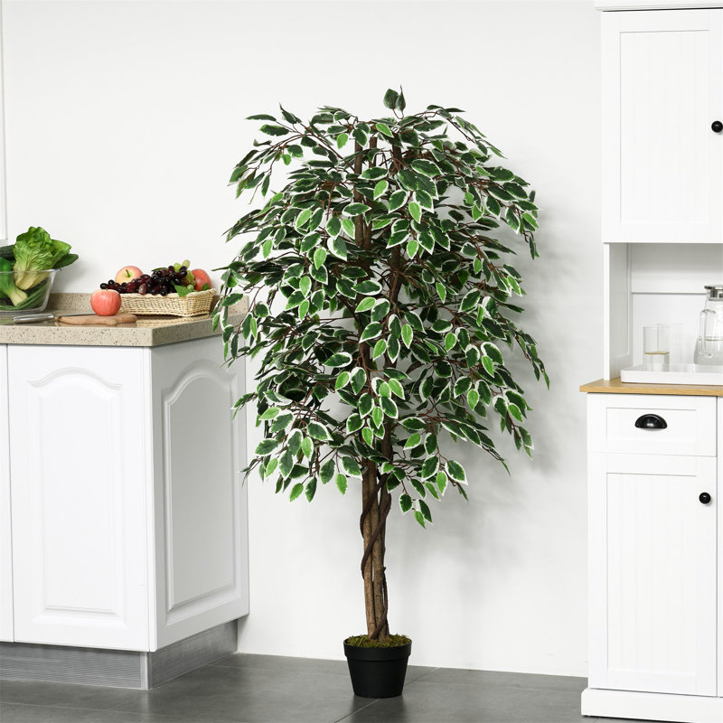 160cm Faux Ficus Tree in Pot