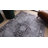 Eusebio Washable Oriental Indoor Rug-49392005