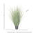 Artificial Onion Zebra Grass in Starter Pot-1820395064