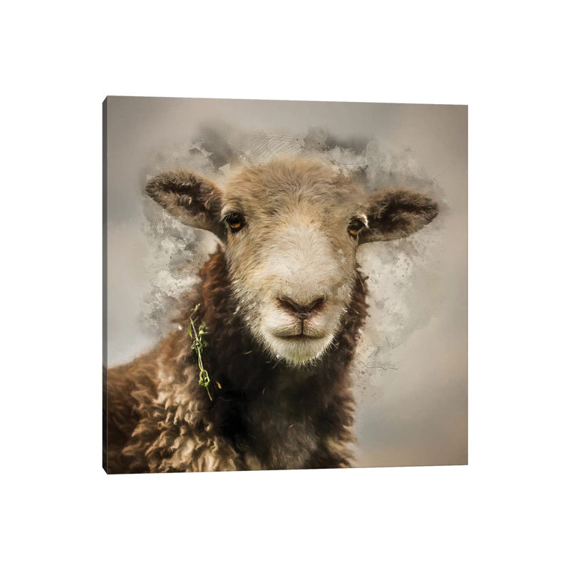 Herdwick 1 Piece Wrapped Canvas Wall Art, 45.72 cm H x 45.72 cm W x 1.91 cm D