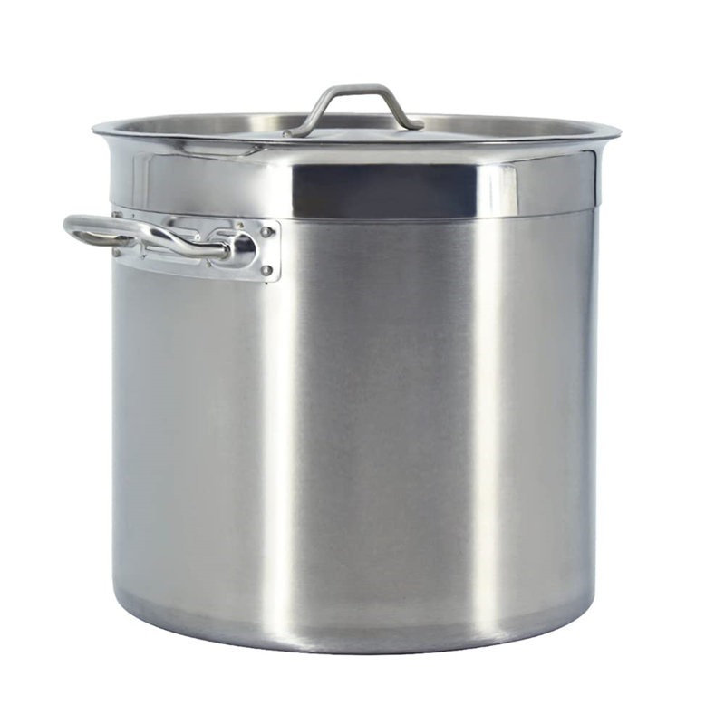 Belfry Kitchen Noel 17L Non-Stick Stainless Steel Stock Pot