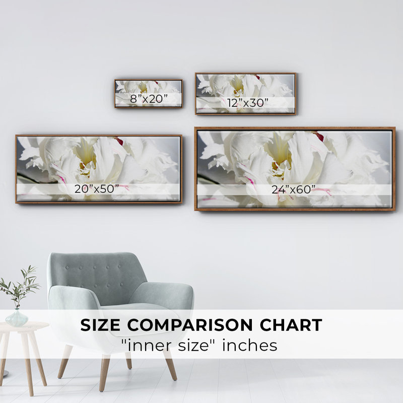 Breathless I- Framed Canvas, 20" H x 50" W