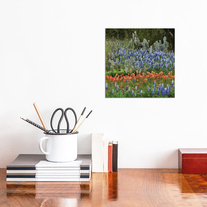 Bluebonnet, Paintbrush Cactus, Texas And Pricky Pear - Horizontal by Tim Fitzharris - Wrapped Canvas Print