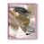 Cadre photo rose simple n'est pas disponible