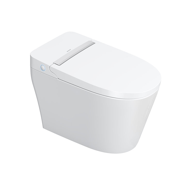 https://assets.wfcdn.com/im/62071030/resize-h755-w755%5Ecompr-r85/2280/228042058/Intelligent+Floor+Mounted+Bidet.jpg