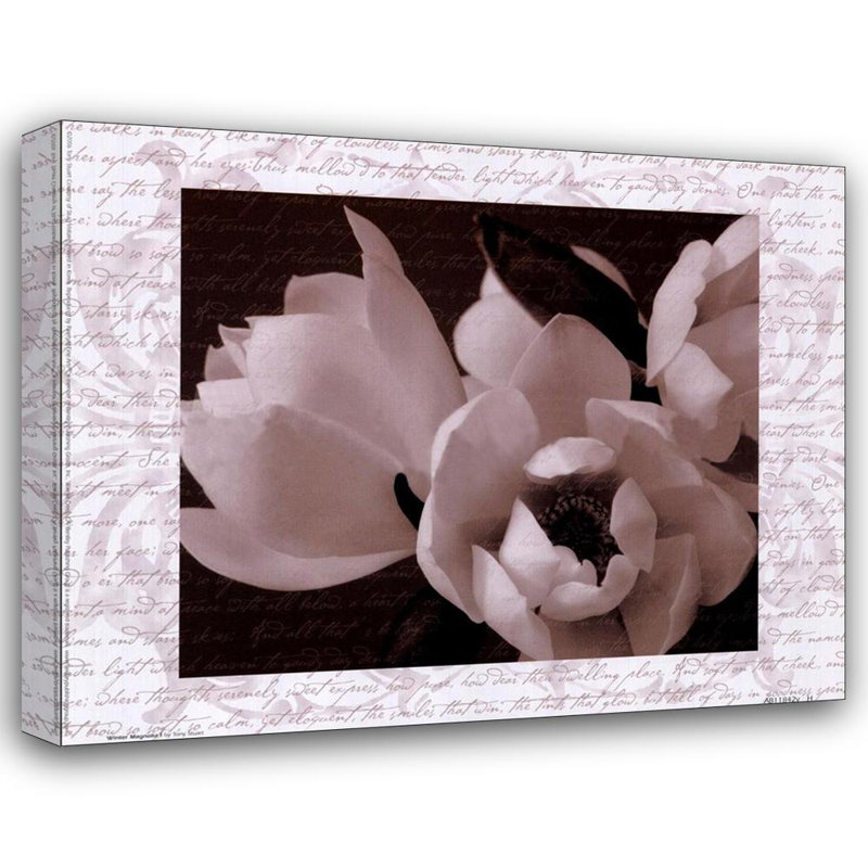 Magnolia d'hiver I, H 19 po x l 24 po