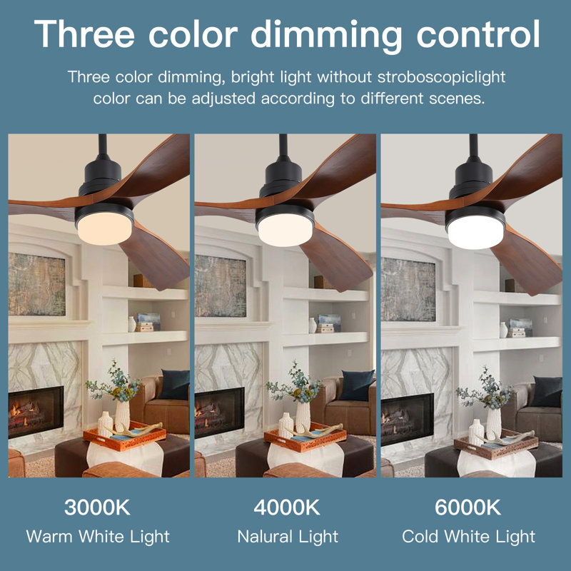 Binisha Ceiling Fan with LED Lights