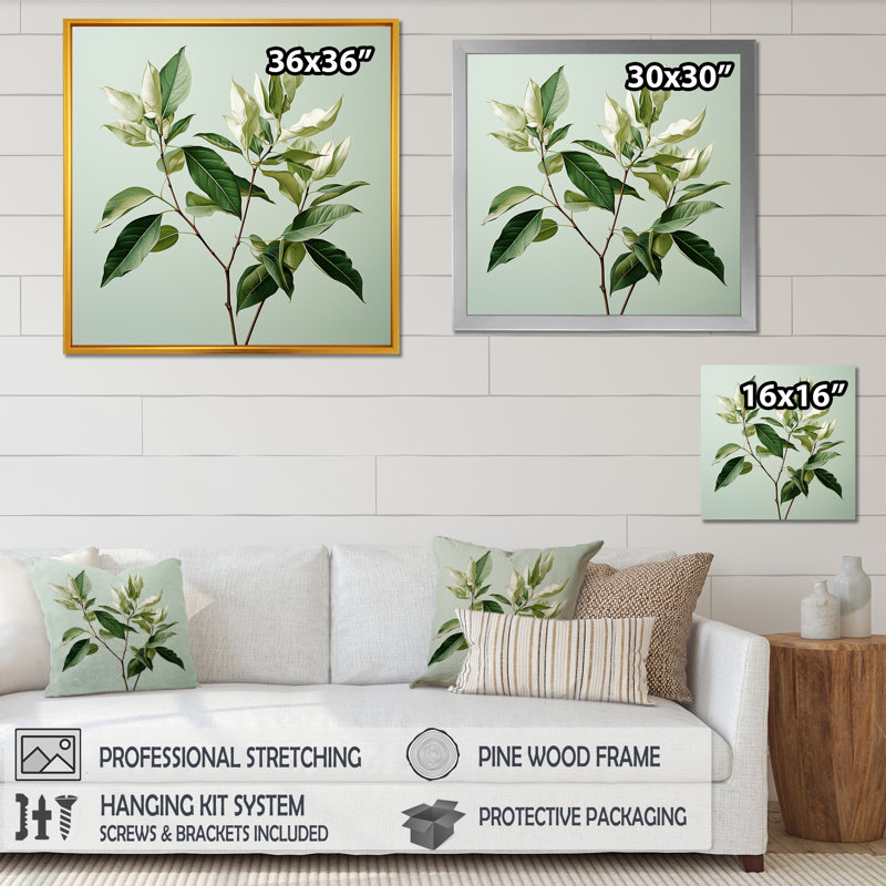 Menthe fraîche, minimalisme, feuilles, sérénité, Cadre simple noir, H 24 po x l 24 po x P 1 po