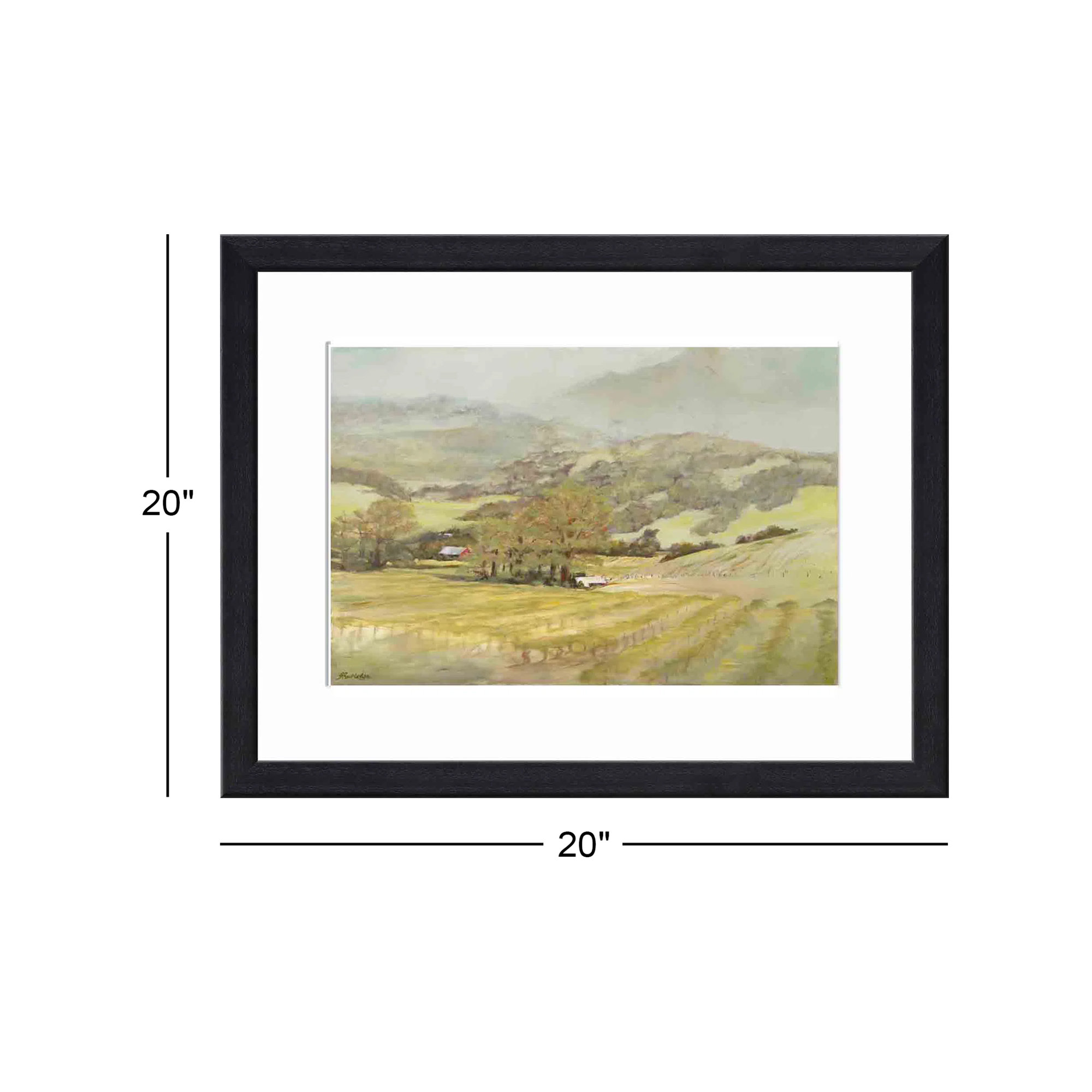 Spring Vineyard by Silvia Rutledge, Black, 20"H x 20"W