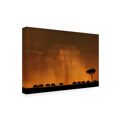 Bolog Jassi Oberai The Migration Canvas Art
