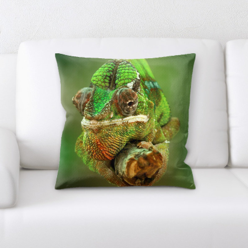 Coussin en jeté chameleon