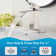 Centerset Single-handle Bathroom Faucet with Drain Assembly