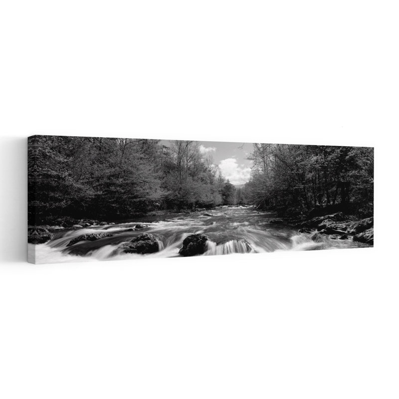 River Flowing Through Rocks In A Forest Little Pigeon River Great Smoky Mountains National Park Sevier County Tennessee USA by James Schwabel - Wrapped Canvas Panoramic Print