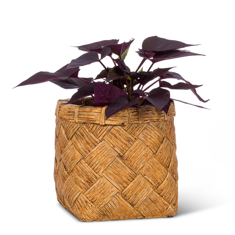 Cache-pot en béton