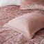 Housse de couette en velours Blush simple / simple TG avec coussin décoratif uni-118754155-118754161