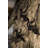 Billiejoe Climbing Man Wall Art-472892452