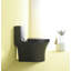 Toilette monobloc 1,1 / 1,60 GPF à double chasse, siège allongé au plancher à hauteur confortable économiseur d'eau, siège à fermeture douce, carte de chasse 1000 grammes, noir mat