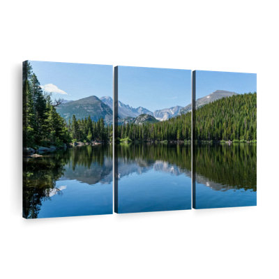 «Bear Lakeside Trees» sur