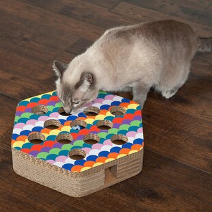 Cat Enrichment Toys for Indoor Cats, Whack a mole cat Toy with cat  Scratching pad, Cat Cardboard Box to Make Lots of Fun, cat Interactive Toy  to Relieve Boredom and Train IQ.