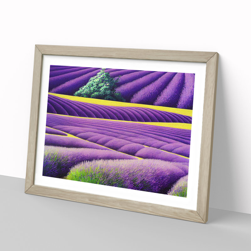 Head Turning Lavender Flower Field - Single Picture Frame Print, 46cm H x 64cm W, Grey