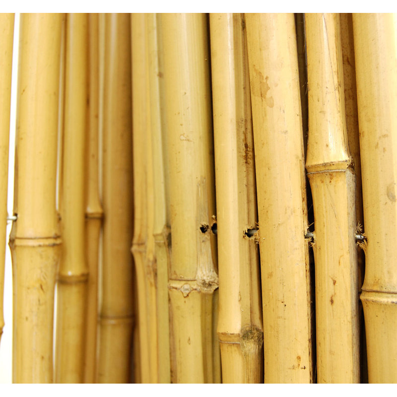 Natural Bamboo 6 ft. H x 8 ft. W Eco-Friendly Fence Panel
