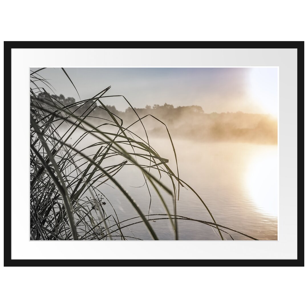 Gerahmtes Poster Schneidegras am See