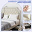 Lit de rangement rembourré en velours moelleux-774639269-774639272