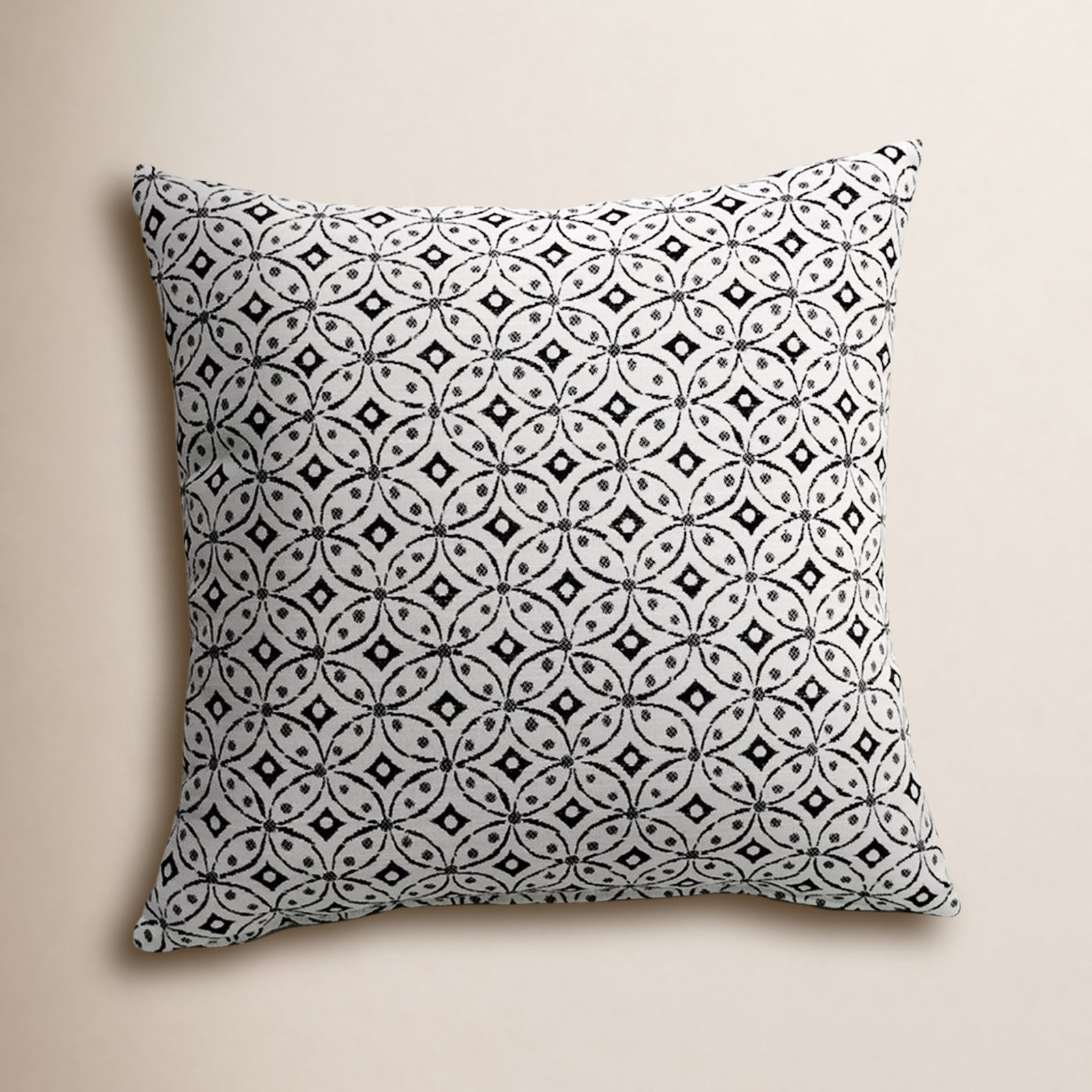 Liza Pillow Cover & Insert Square in White/Black, 16" x 16"