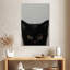 Chaton Brampt noir-108231278