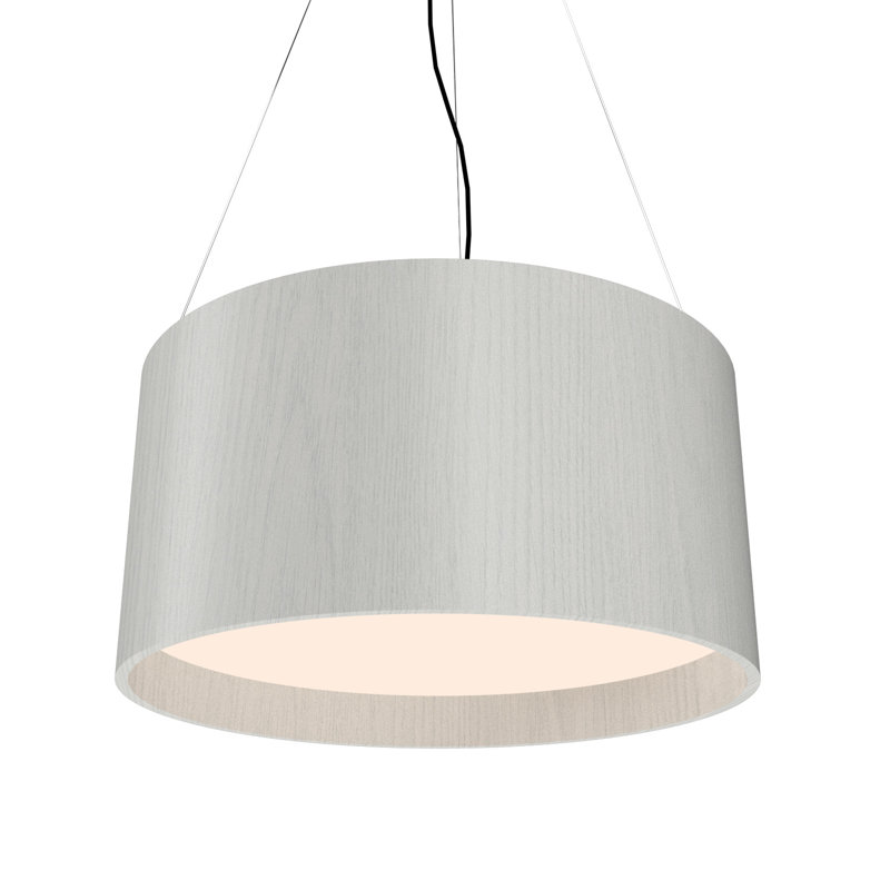 Luminaire suspendu tambour 2 lumières, Gris anthracite, Oui, H 9,84 po x l 19,69 po x P 19,69 po