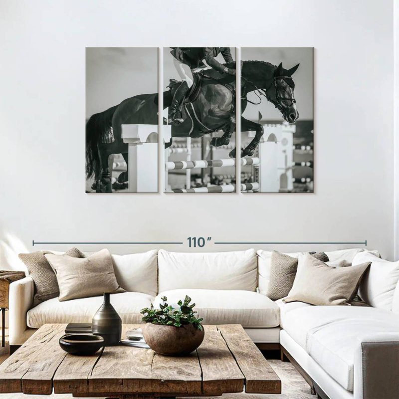 Sireci BW Equestrian Jumping, 48" H x 74" W