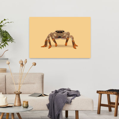 Lydia the Leggiest Cowgirl Spider Contemporary Spider Wildlife Wall Art Print