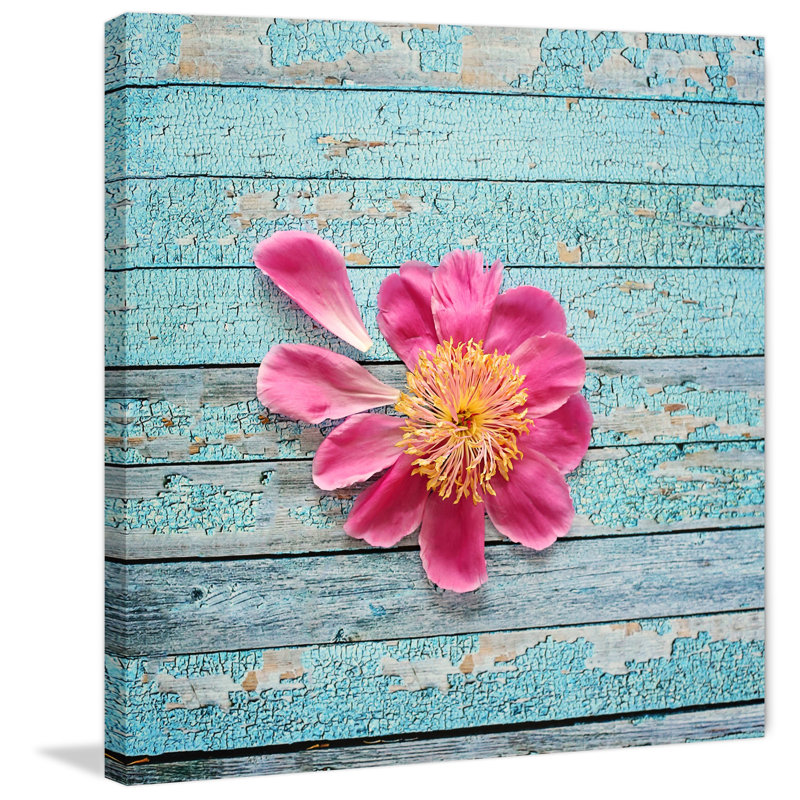 Diana Alcala - Wrapped Canvas Print, 81 cm H x 81 cm W x 3.81 cm D