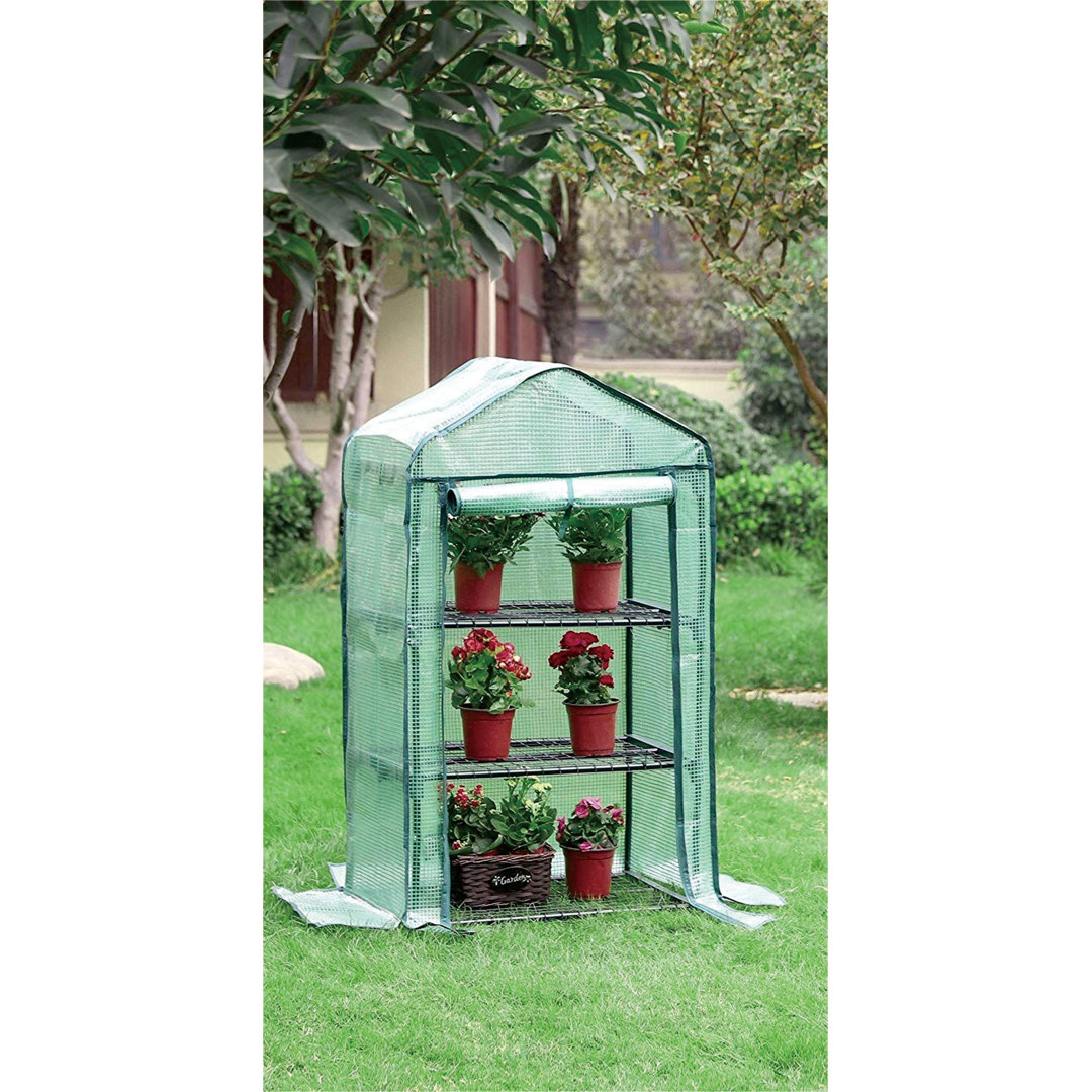 Caniesha 2.3 Ft W x 1.7 Ft D Mini Greenhouse