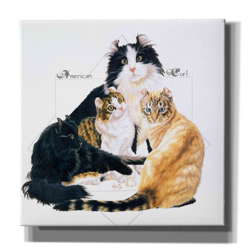 Epic Graffiti 'American Curl' By Barbara Keith, Ca " American Curl " by Barbara Keith
