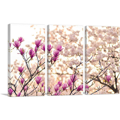 " Magnolia And Cherry Blossoms Home Decor " 3 - Pieces
