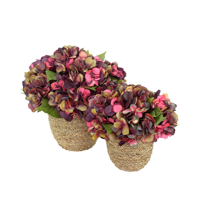 Arrangements floraux d'hortensias d'automne Carytown, Bourgogne / rouge